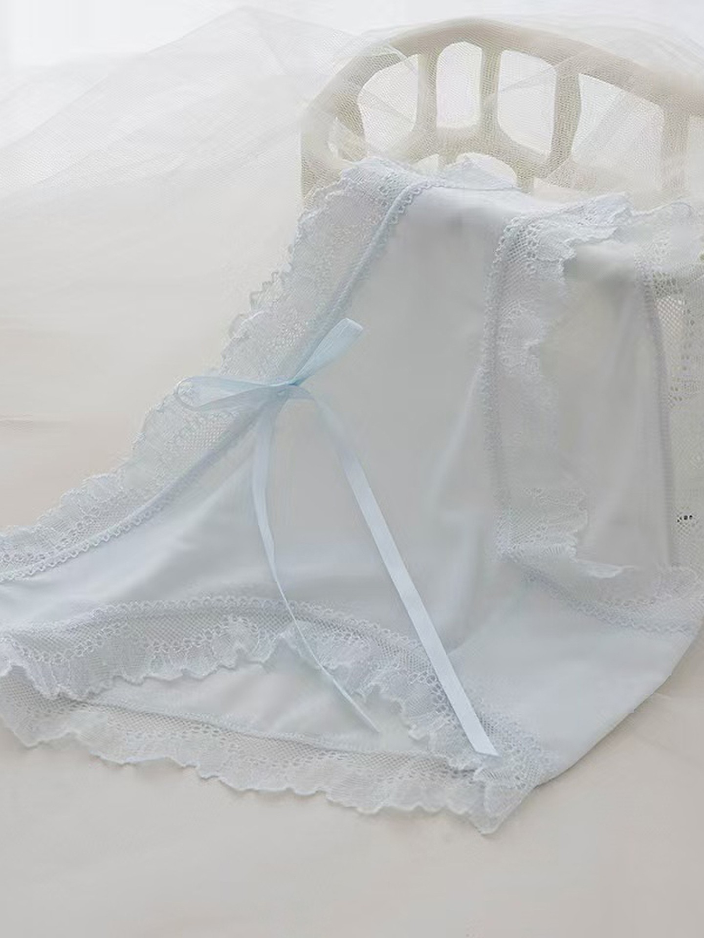 Sheer Briefs