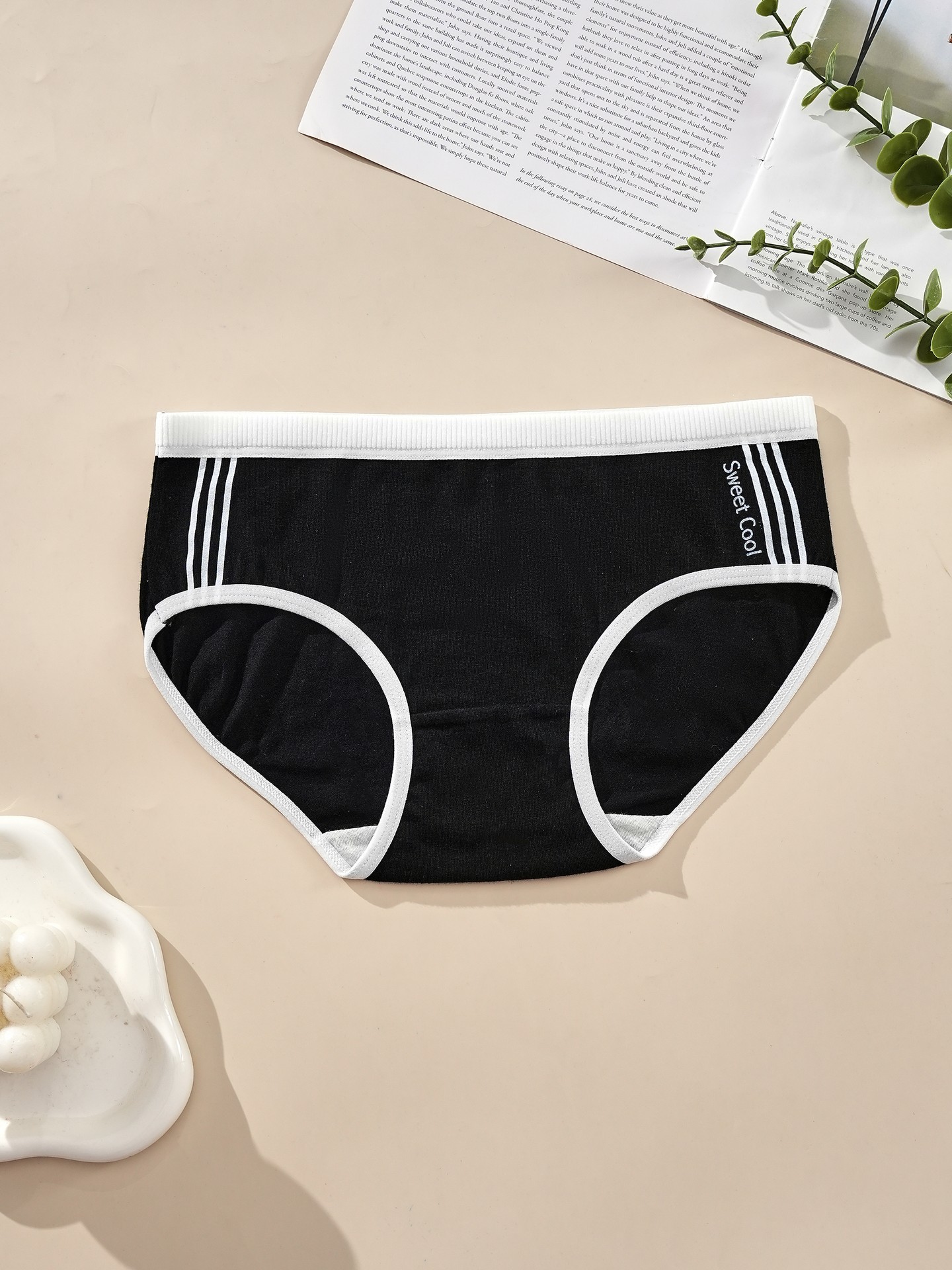Briefs