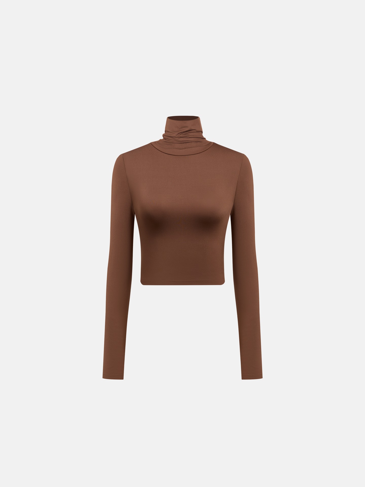 Sculpted Turtleneck Crop Top