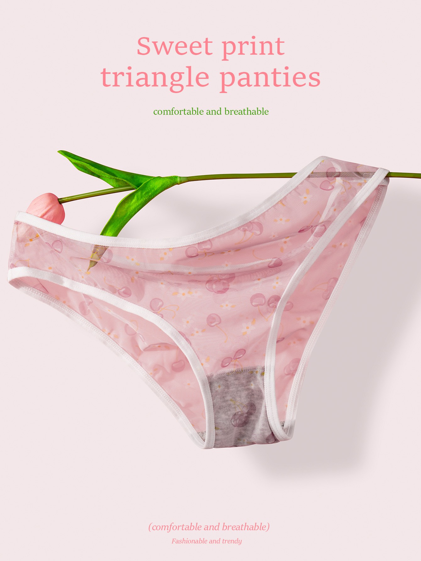 Briefs