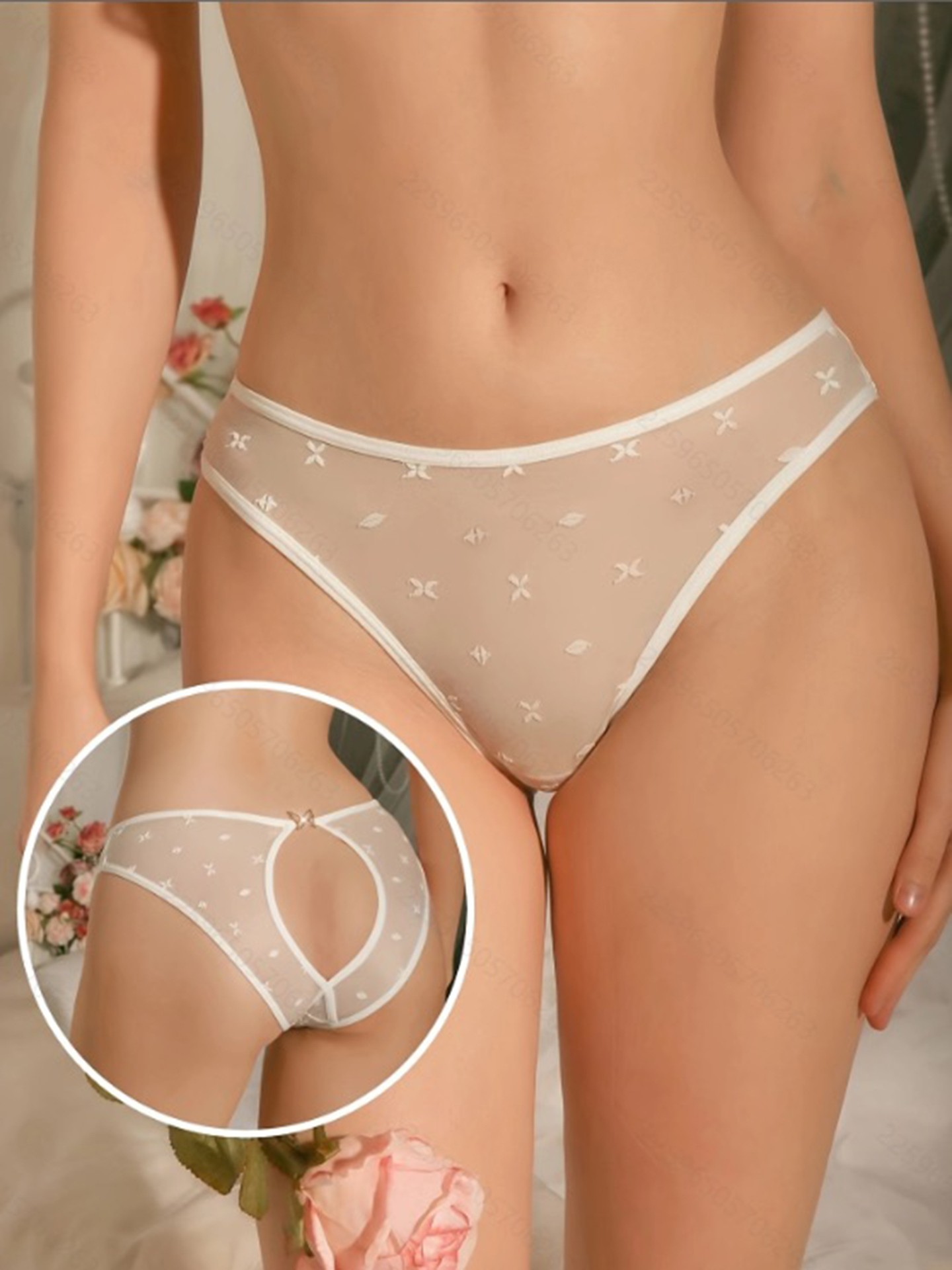 Sheer Briefs
