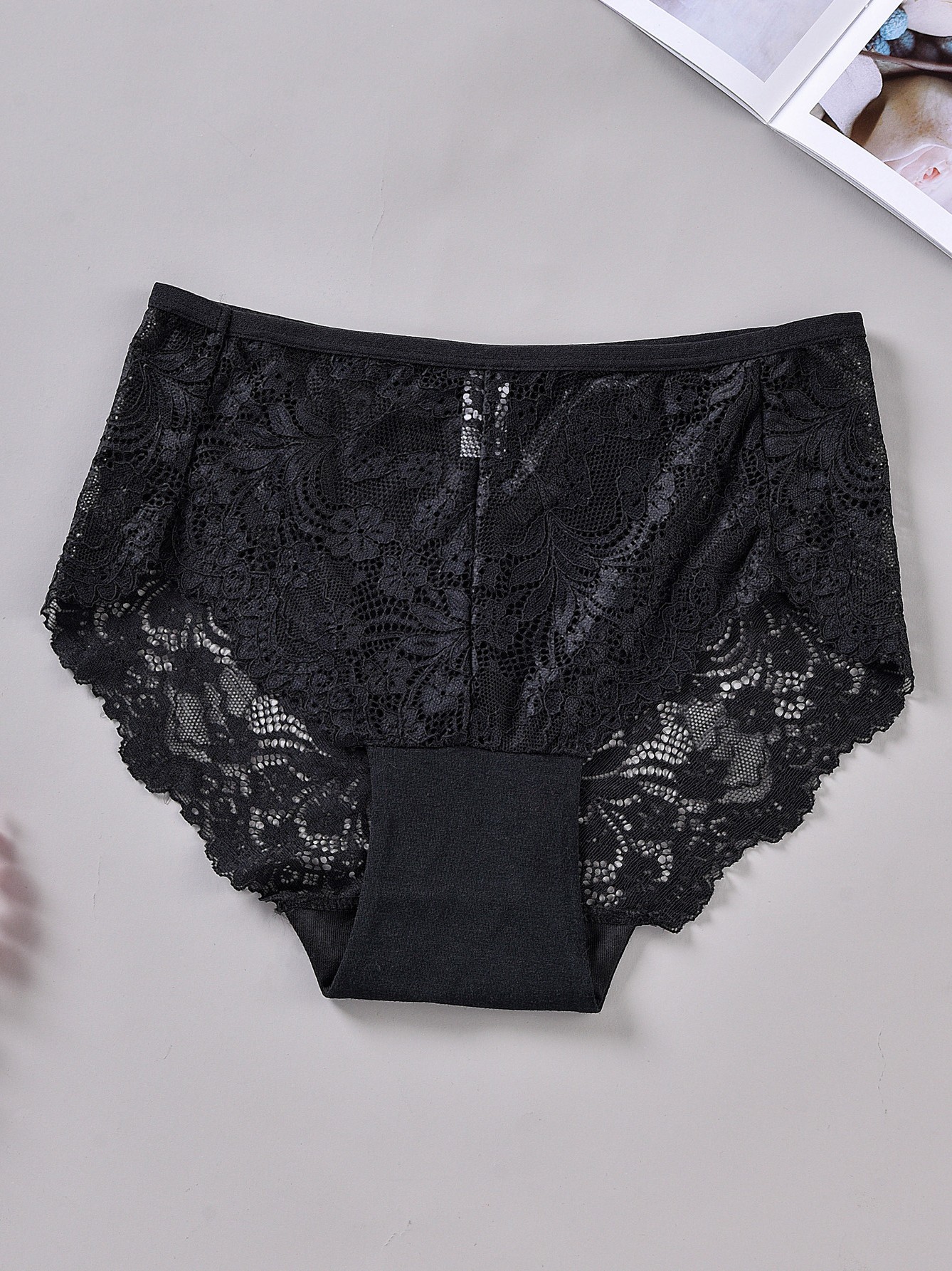 Plus Size Sheer Briefs