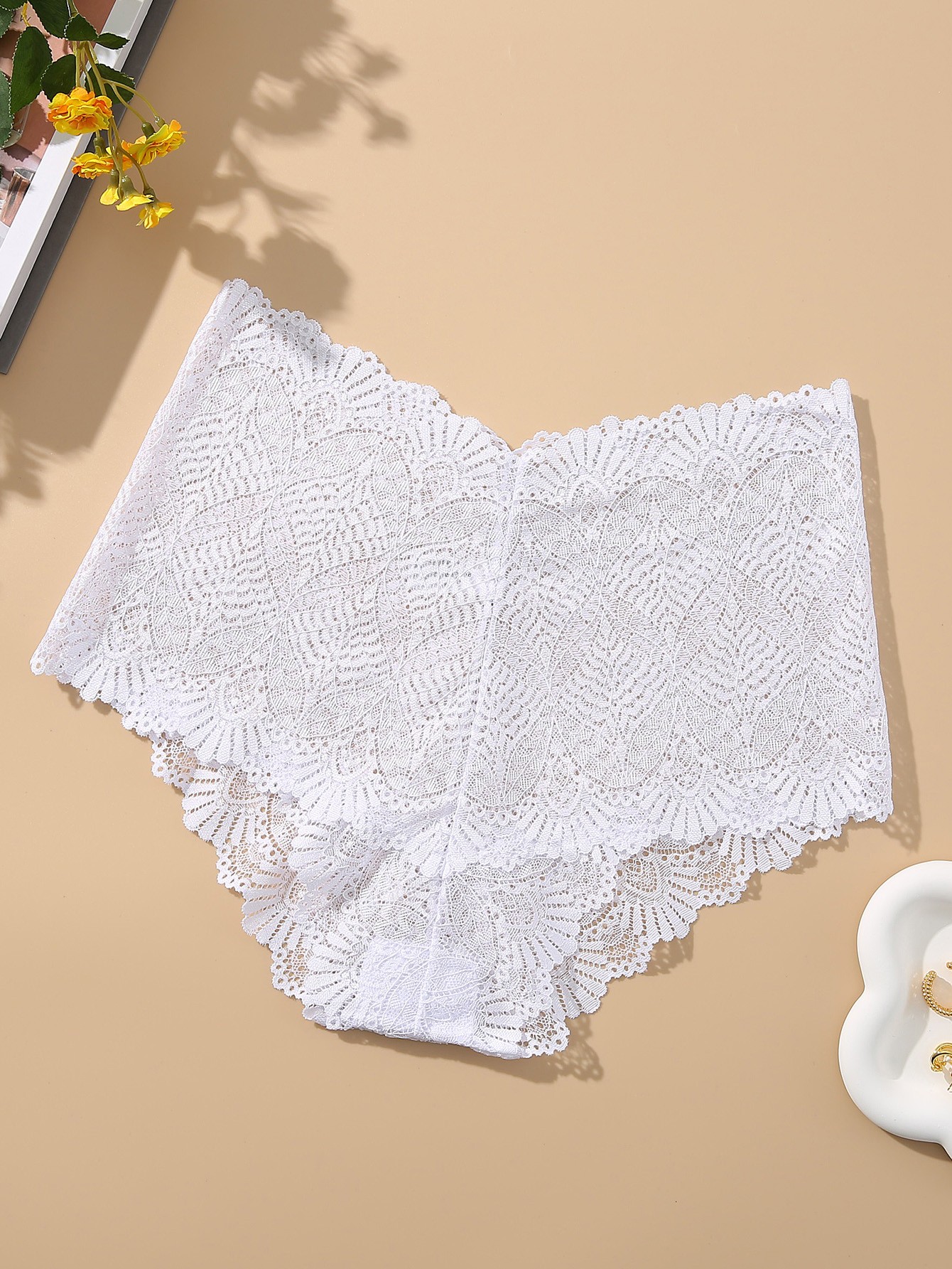 Plus Size Sheer Briefs