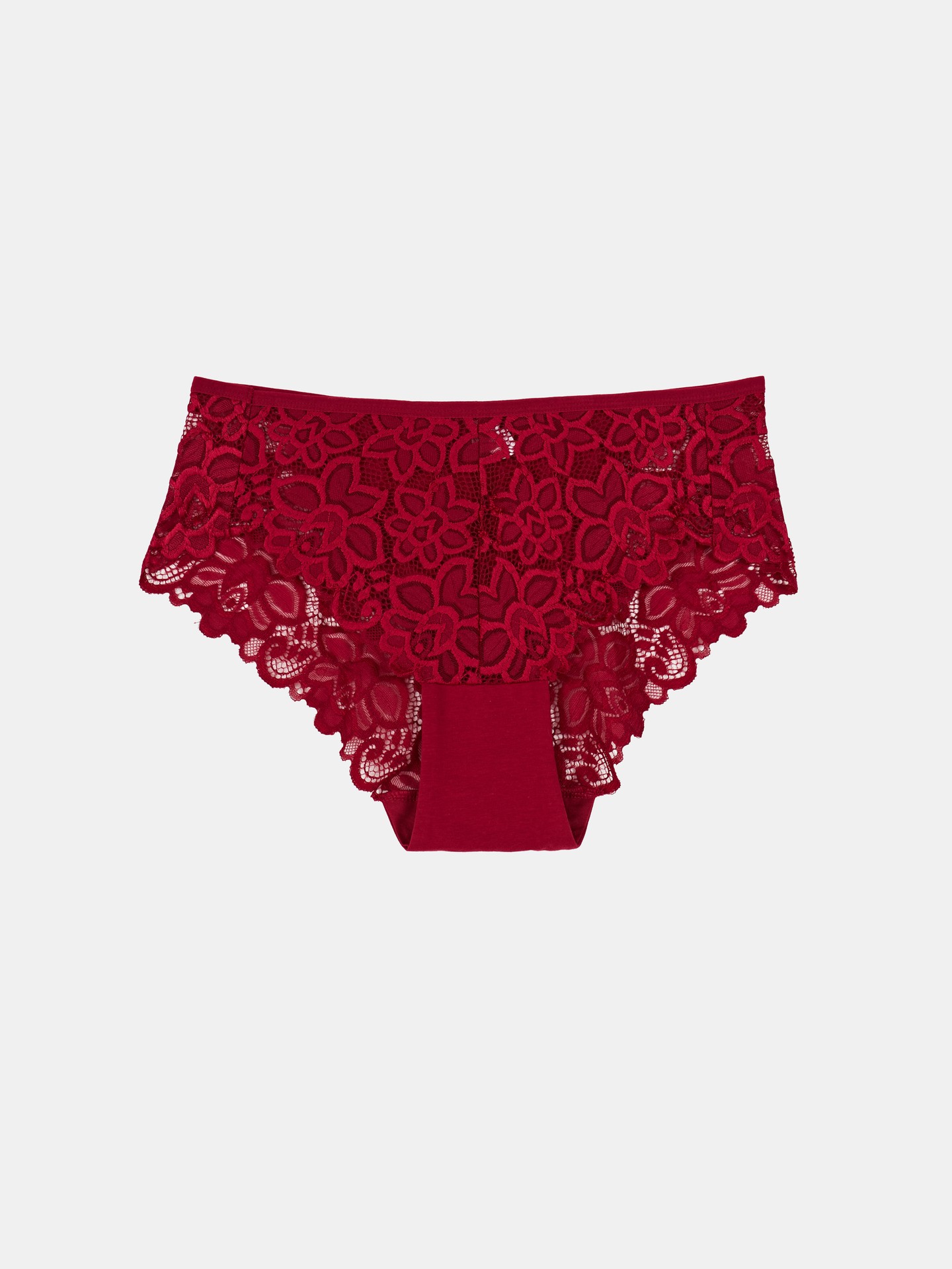 Plus Size Sheer Briefs
